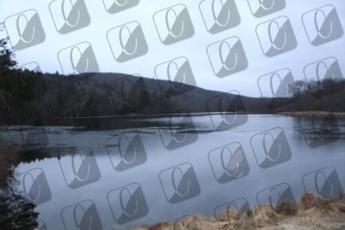 wall decor, photography, canvas